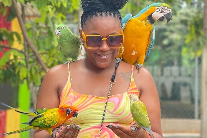 Montego Bay Exotic Herbs, Birds And Animals Interaction Tour Inclusions And Pricing