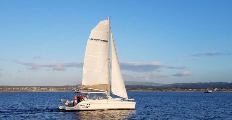 Monterey: Catamaran Sailing Cruise Overview Of The Experience