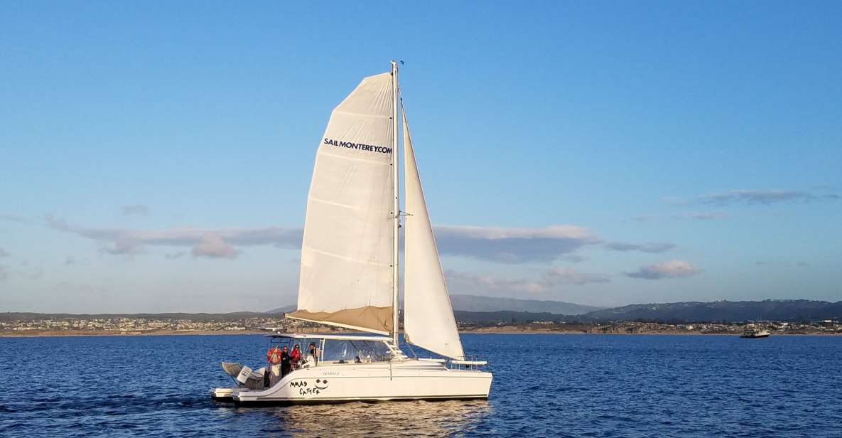 Monterey: Catamaran Sailing Cruise - Overview of the Experience