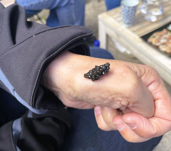 Montpellier: Half Day Wine And Caviar St Guilhem Le Desert Overview Of The Tour