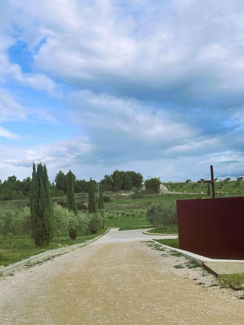 Montpellier: Olive Oil, Wine, and St Guilhem Le Desert Day - Picnic Under Olive Trees