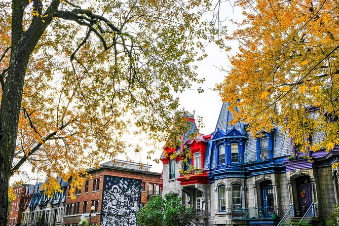 Montreals Plateau Mont-Royal and Mile End Tour by MTL Detours - Tour Overview