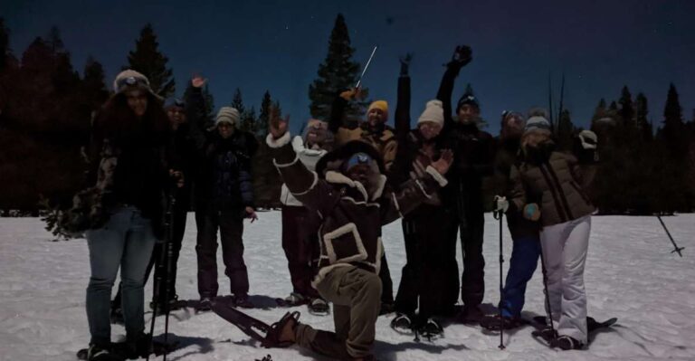 Moonlight Snowshoe Tour Under A Starry Sky Tour Details