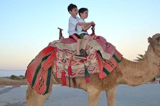 Morning Desert Safari With Camel Ride And Sand Boarding Adventurous Dune Bashing Experience