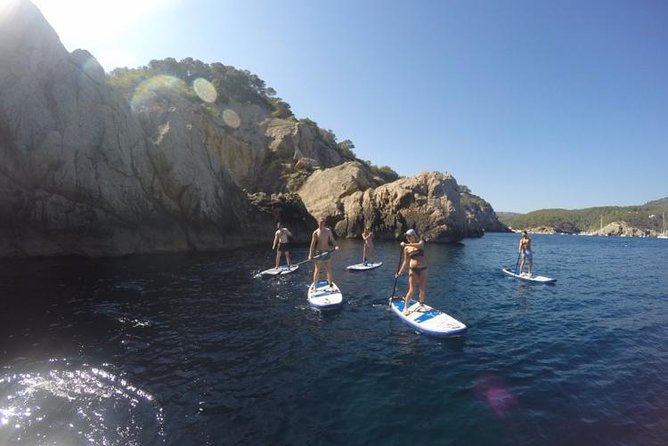 Morning Excursion Snorkeling In Crystal Clear Waters