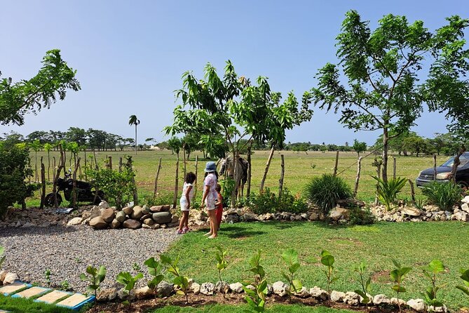 Morning Horseback Riding Tour From Punta Cana - Inclusions