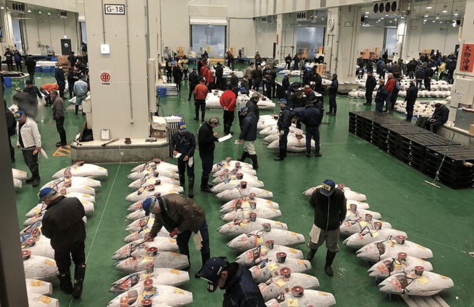 Morning Market Adventure: Toyosu & Tsukiji With Tuna Auction - Frequently Asked Questions