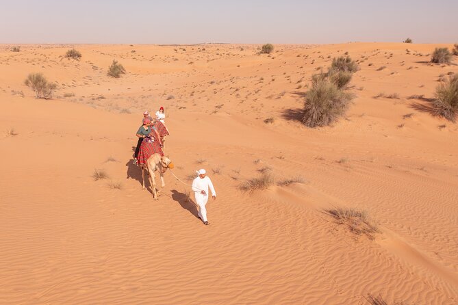 Morning Safari With Camel Ride And Quad Bike Single Seater Inclusions