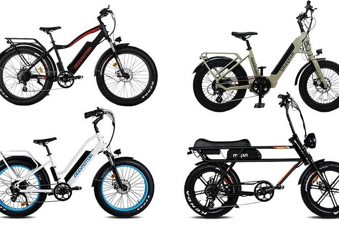 Motorcycle Style Ebike Fat Tire Rental in Puerto Rico - Overview of Rental Experience