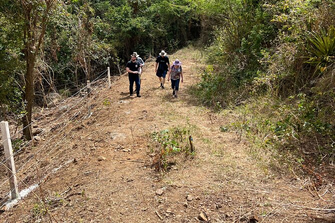 Mount Healthy National Park Private Hike Tour In Tortola Hike Details