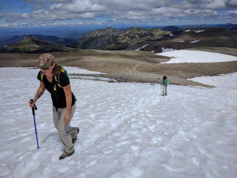 Mount Rainier: Day Hike On The Mountain Trip Overview