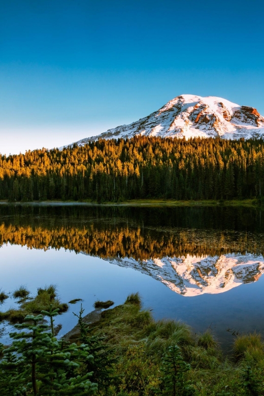 Mount Rainier National Park: Audio Tour Guide Discover Breathtaking Vistas And Forests