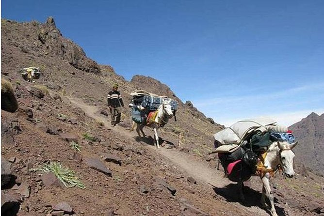 Mount Toubkal: 2-Day Climb From Marrakech - Journey to Toubkals Basecamp