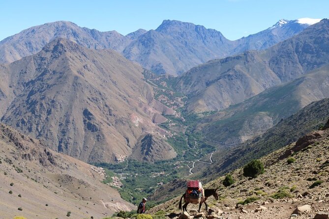 Mount Toubkal Trek-2 Day - Health and Fitness Considerations