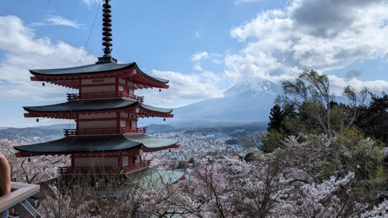 Mt Fuji & Hakone: Sightseeing Private Day Tour With Guide Tour Overview And Pricing