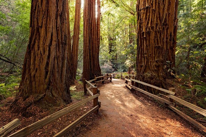 Muir Woods, Golden Gate Bridge + Sausalito With Optional Alcatraz Tour Overview And Highlights