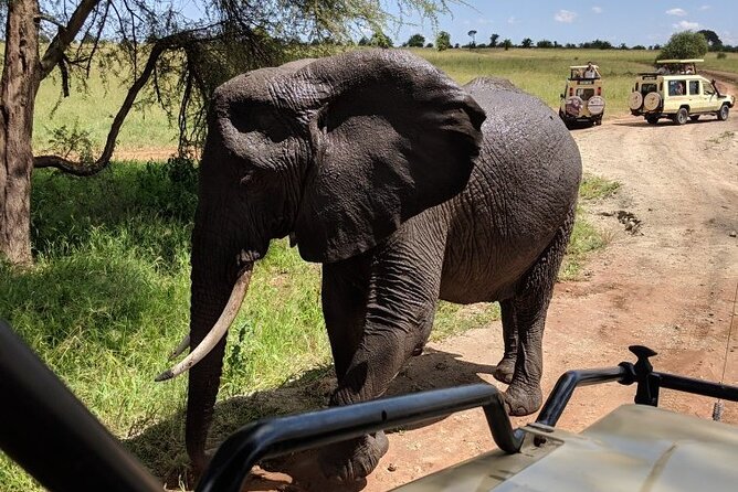 Multi Day Tanzania Odssey Safari From Arusha Overview Of The Safari