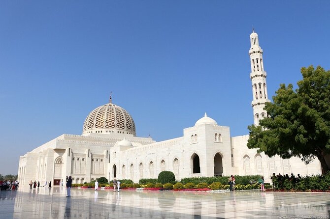 Muscat By Night Meeting And Pickup