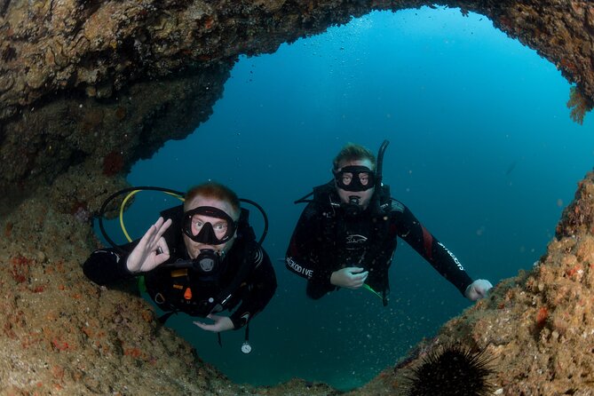 Muscat Scuba Diving Trip To Daymaniyat Islands Overview Of The Muscat Scuba Diving Trip