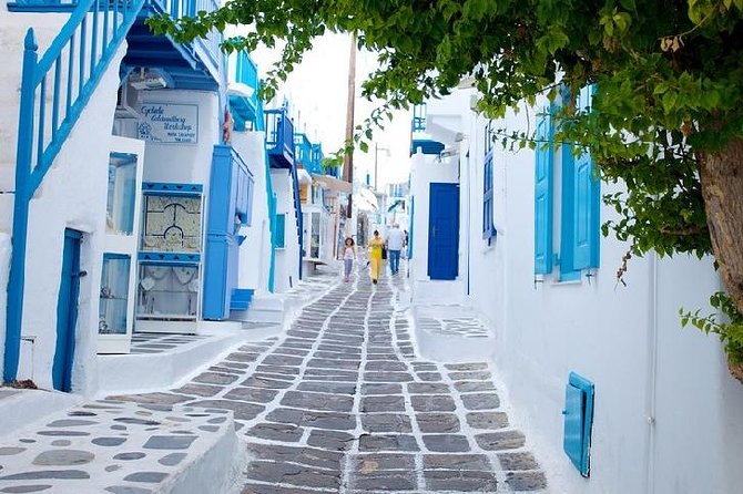 Mykonos Town And Island Half Day Tour Tour Highlights