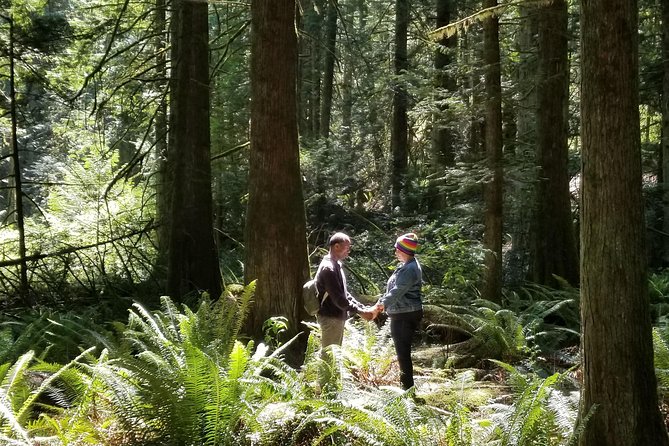 Mystical Rainforest Tour Forest Magick Spiritual Immersion