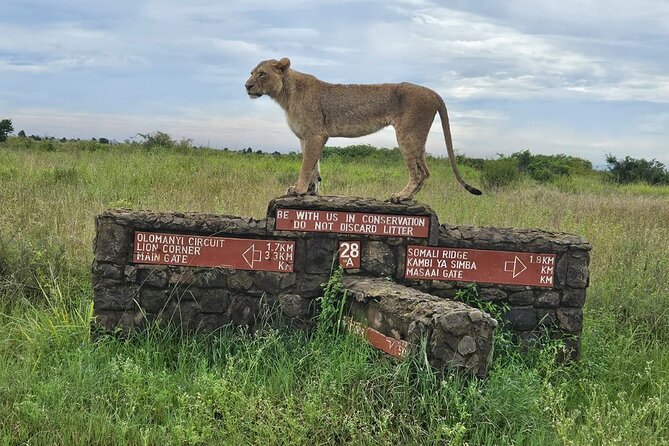 Nairobi Nat Park,sheldrick Elephant Giraffe Centre&karen Blixen Tour Overview