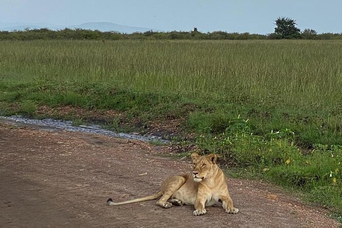 Nairobi National Park and Giraffe Center - Overview of Nairobi National Park