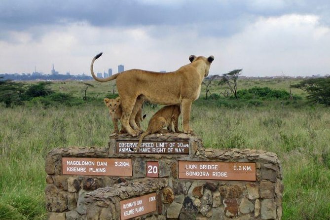 Nairobi National Park, Elephant Orphanage, Giraffe Centre,karen Blixen Day Tour Tour Details