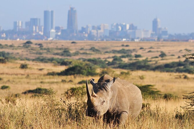 Nairobi National Park Group Shared Tour - Overview of the Tour