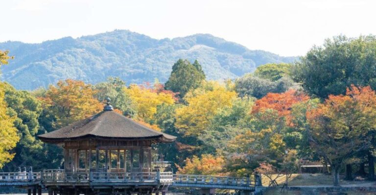 Nara: Private City Tour With A Local Guide Tour Overview And Pricing