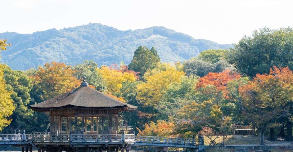 Nara: Private City Tour With A Local Guide - Tour Overview and Pricing