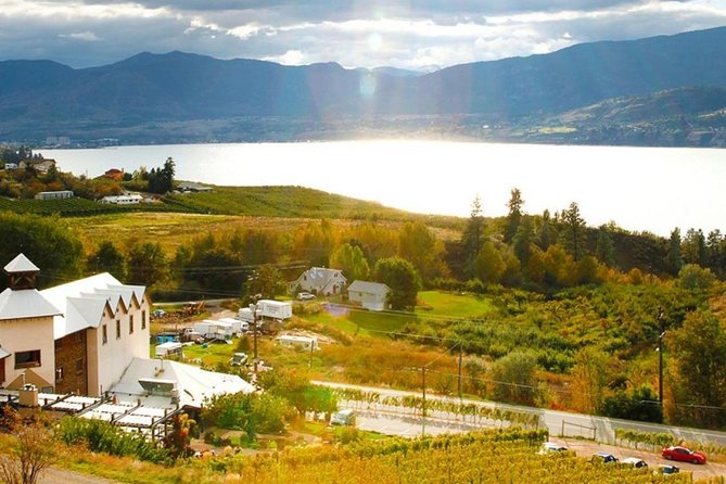 Naramata Bench Wine Experience From Vernon 4 Wineries Tour Overview