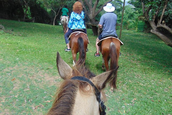 Nature & Historical Horseback Riding Tours St. Lucia Included Amenities