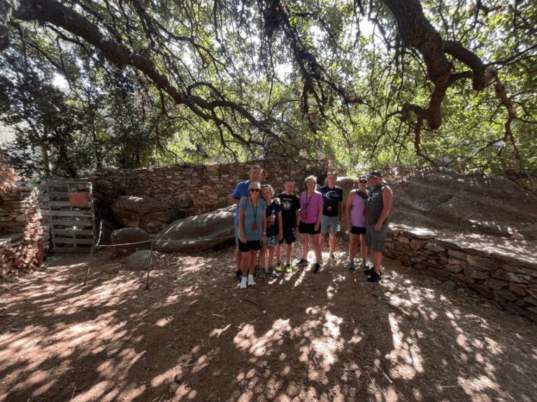 Naxos: E Bike Guided Tour With Light Farmyard Lunch Tour Overview