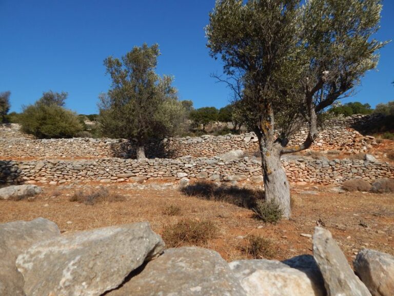 Naxos: Inland Hike Villages Kouroi Statues, Apano Kastro Activity Overview