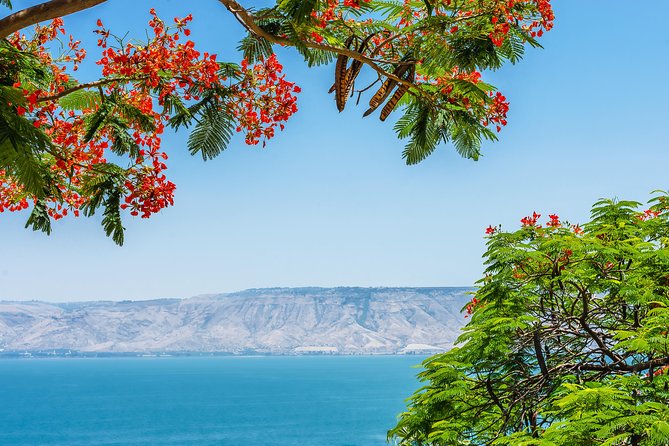 Nazareth And The Sea Of Galilee Day Trip From Jerusalem Overview Of The Day Trip