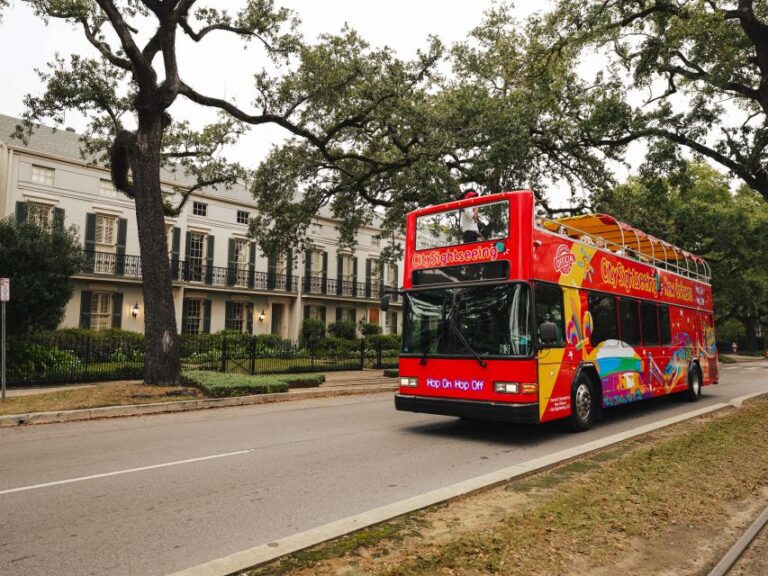 New Orleans: 2 & 3 Days Hop On Hop Off Bus With Walking Tour Tour Overview