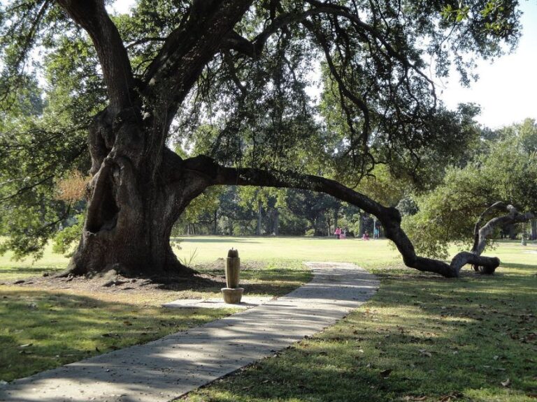 New Orleans: 2.5 Hour City & Cemetery Tour By Bus Tour Overview And Pricing