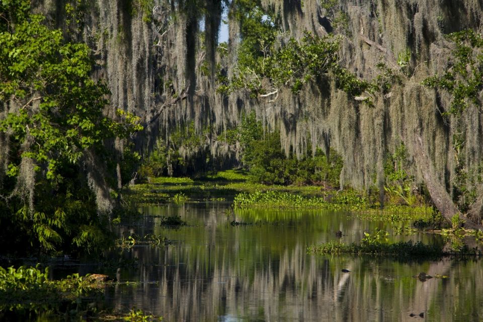 New Orleans: High Speed 16 Passenger Airboat Ride - Tour Overview