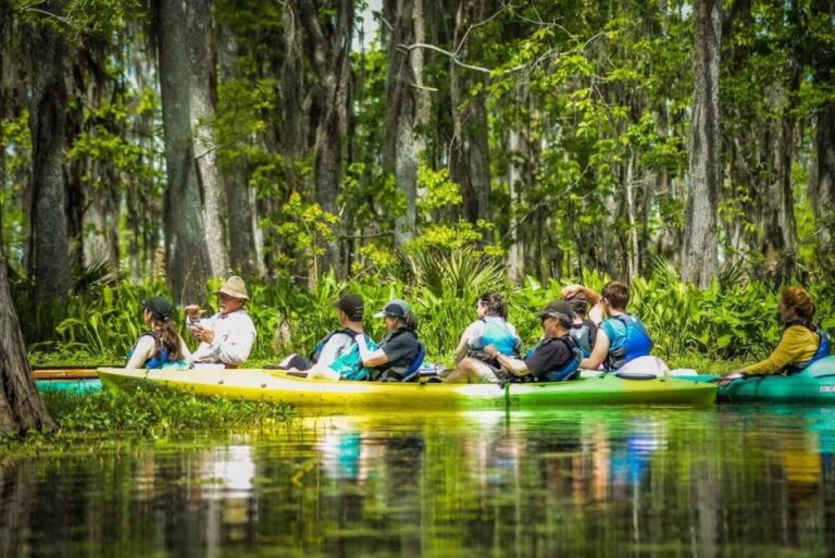 New Orleans: Manchac Magic Kayak Swamp Tour Tour Overview