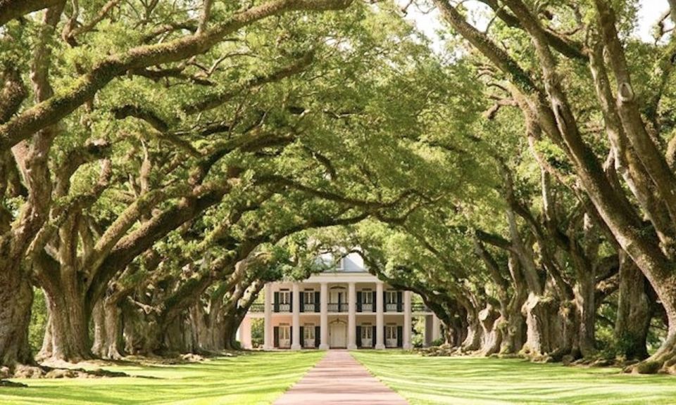 New Orleans: Oak Alley or Laura Plantation & Airboat Tour - Overview of the Tour