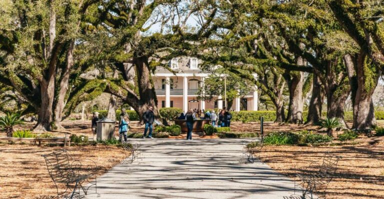 New Orleans: Oak Alley Plantation & Airboat Swamp Combo Tour Tour Overview