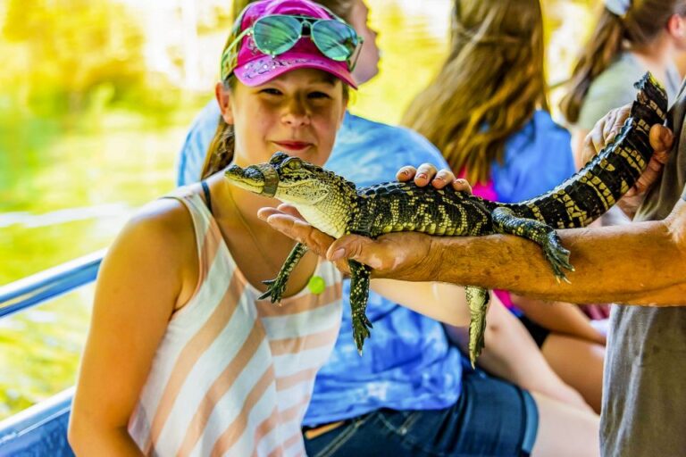 New Orleans: Oak Alley Plantation & Swamp Cruise Day Trip Tour Overview And Highlights