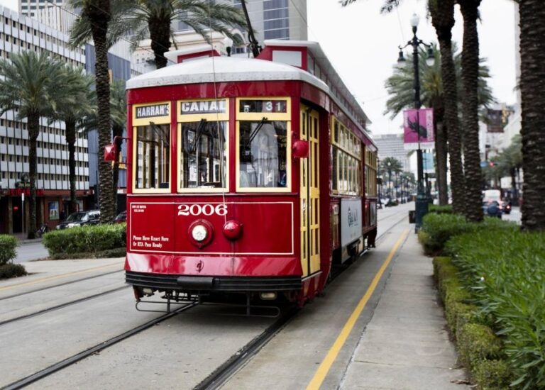 New Orleans: Private Guided City Tour Exploring The Mississippi River