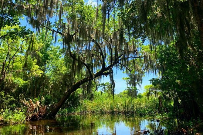 New Orleans Swamp Tour Boat Adventure With Transportation Tour Inclusions