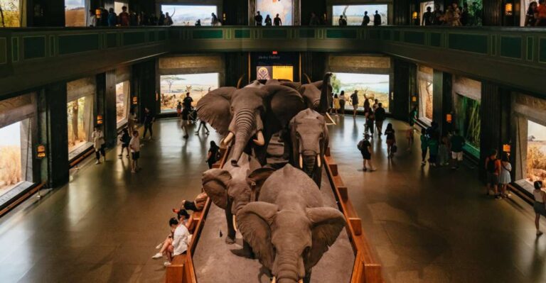 New York City: American Museum Of Natural History Ticket Ticket Information