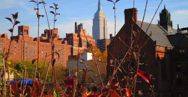 New York City: High Line Walking Tour Tour Overview