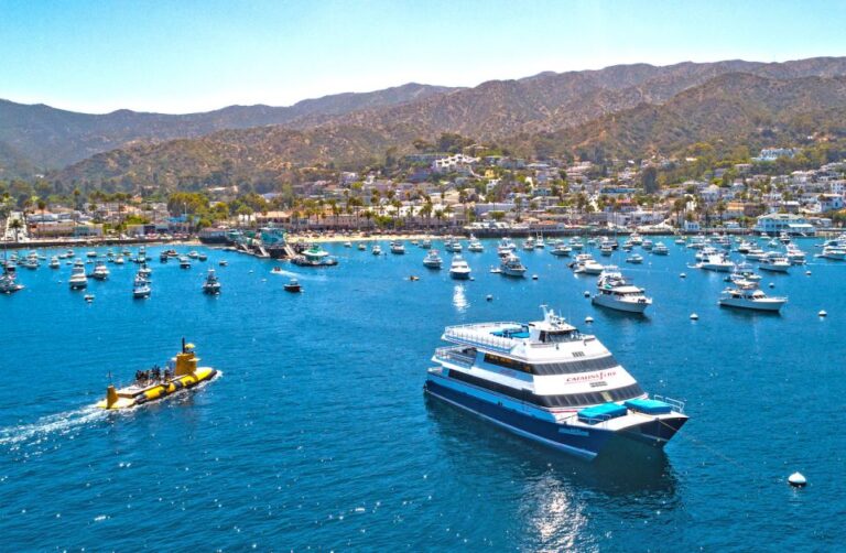 Newport Beach: Ferry Ticket To/from Catalina Island Ticket Pricing And Booking Options