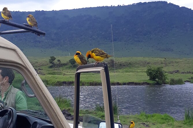 Ngorongoro Crater Day Trip Overview Of The Ngorongoro Crater Trip