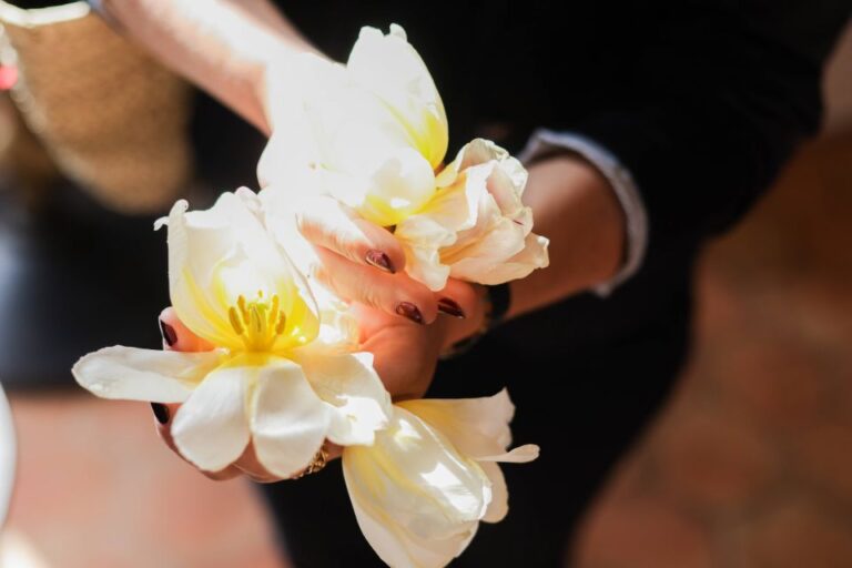 Nice: French Riviera Guided Day Tour With Perfumery Visit Tour Duration And Group Size